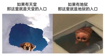 左右对比图，左侧是从破洞中探出头的金毛犬，背景为蓝天，配文'如果有天堂 那这里就是天堂的入口'；右侧是从马桶中探出头的猫咪，配文'如果有地狱 那这里就是地狱的入口'。通过动物和环境的鲜明对比制造幽默效果。