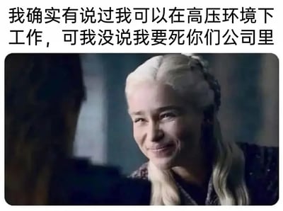 这张梗图采用了美剧人物对话场景作为底图，配文为“我确实有说过我可以在高压环境下工作，可我没说我要死你们公司里”。这种表述以夸张的语气吐槽了职场中的高压与内卷现象，表达了年轻人对加班文化和超负荷工作的无奈与幽默反抗。台词充满“员工回怼”感，直戳打工人心声。

没有谐音或双关，但典型社畜吐槽色彩明显。