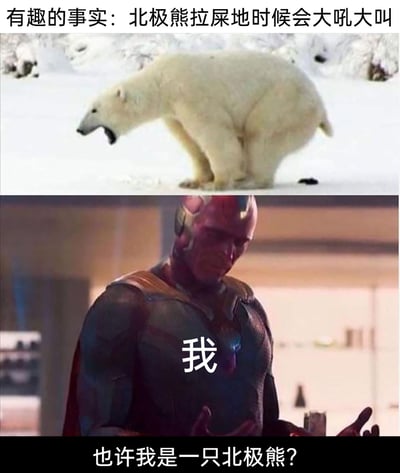 这是一张上下拼接的搞笑梗图，上半部分展示了一只在雪地中弯腰排便、张嘴大吼的北极熊，配文“有趣的事实：北极熊拉屎的时候会大吼大叫”，引出一个趣味动物冷知识；下半部分是漫威《复仇者联盟》系列中的角色幻视，他低头摊开双手，身上标注“我”，底部配文“也许我是一只北极熊？”。整张图通过将自身行为与北极熊的冷知识关联，用荒诞的自我怀疑制造出幽默搞笑的效果，调侃自己在排便时也会有类似大吼的情况。