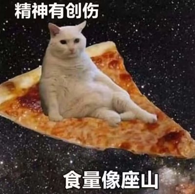图片中一只白色猫咪神态慵懒地坐在一片巨大的披萨上，背景是布满星星的黑色星空。猫咪身体微微后仰，前爪自然放置，眼神中带着一丝漠然。图片上方有白色文字“精神有创伤”，下方有白色文字“食量像座山”，通过猫咪与超大披萨的视觉对比，以及文字内容的反差，营造出幽默搞笑的效果，调侃其看似“精神受创”却拥有“如山般食量”的矛盾状态。