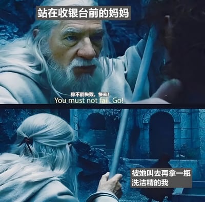这是一张由《指环王》电影截图改编的双 panel 搞笑 meme。上半部分画面中，白发长须的甘道夫表情严肃，眼神坚定地看着前方，上方文字标注“站在收银台的妈妈”；下半部分甘道夫手持法杖指向远处，下方文字标注“被她叫去再拿一瓶洗洁精的我”。中间配有中英文字幕“你不能失败，快去！You must not fail. Go!”，通过将电影中史诗级的严肃场景与日常生活中妈妈让孩子跑腿买洗洁精的琐碎小事进行幽默对比，营造出强烈的反差萌效果。