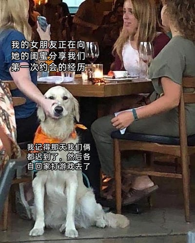 这是一张在户外餐厅拍摄的真实照片，画面中三位女性围坐在木质餐桌旁，桌上摆放着酒杯和餐具，其中一位女性用手捂住桌下一只戴着橙色围巾的金毛的嘴，金毛表情无奈、生无可恋。图片搭配了反差感十足的搞笑文字：上方文字设定场景为“我的女朋友正在向她的闺蜜分享我们第一次约会的经历”，下方则代入金毛的视角，道出真实的约会糗事：“我记得那天我们俩都迟到了，然后各自回家打游戏去了”，通过浪漫分享与真实糗事的反差，制造出轻松搞笑的效果，调侃情侣间那些脱离浪漫想象的真实日常。