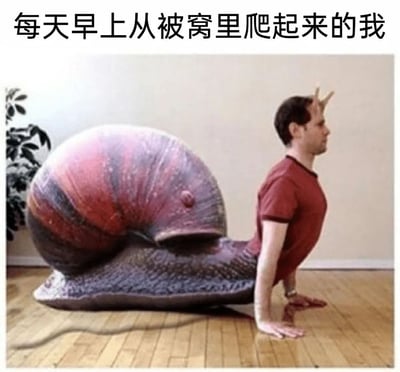 这是一张经过PS改编的静态搞笑图片，将穿着红色短袖的男性上半身与蜗牛的下半身合成在一起，男性双手撑在木质地板上，做出类似起身的动作，神情看起来疲惫又不情愿。图片上方配有文字“每天早上从被窝里爬起来的我”，借由蜗牛行动缓慢、慵懒的特质，生动形象地调侃了人们早上起床时浑身乏力、动作迟缓、不想起身的状态，精准戳中多数人的日常痛点，充满共鸣感与搞笑效果。