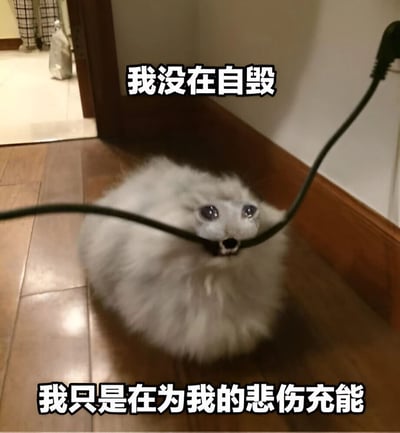 图片中是一只毛茸茸的白色小狗（疑似博美犬），站在木质地板上，嘴里叼着一根黑色的电线，眼睛瞪得大大的，看起来呆萌又无辜。图片上方配有文字“我没在自毁”，下方配有文字“我只是在为我的悲伤充能”，通过拟人化的幽默手法，将小狗咬电线的危险行为转化为一种可爱的自嘲，营造出搞笑又略带心酸的氛围。