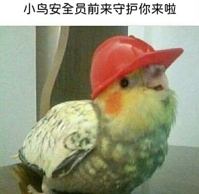 图片中是一只羽毛呈黄绿色相间的小鸟（疑似鹦鹉），头部佩戴着一顶红色的安全帽，正面向镜头站立。图片上方配有文字“小鸟安全员前来守护你来啦”，整体营造出一种可爱又幽默的氛围，将小鸟拟人化为负责安全守护的角色。