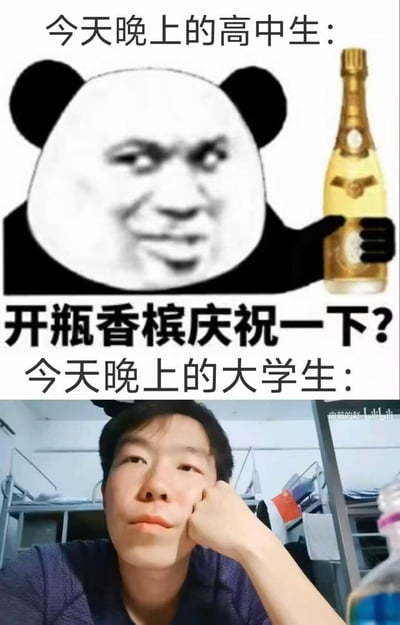 该图为上下对比式梗图，通过夸张手法展现高中生与大学生的夜晚状态反差。上图是卡通化熊猫头表情包角色，面部嫁接人类表情，手持金色香槟瓶，配文“今天晚上的高中生：开瓶香槟庆祝一下？”，营造出轻松兴奋的氛围；下图为真人实拍，背景是大学宿舍上下铺场景，男生单手托腮、眼神放空，配文“今天晚上的大学生：”，传递出疲惫无奈的状态。整体通过卡通与真人形象的对比，幽默呈现不同学段学生的生活压力差异。
