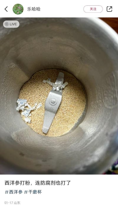 这是一条生活分享类的直播截图，画面展示了干磨杯内部，杯里有被打成细粉的西洋参，还有被打碎的干燥剂包装碎片。配文说明是在给西洋参打粉时，不小心把里面的干燥剂也一起放进干磨杯打碎了，记录了一个粗心的生活小失误，有点让人哭笑不得。