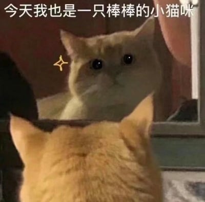图片中一只浅色猫咪正对着镜子凝视，镜中映出它圆溜溜的大眼睛和毛茸茸的脸庞，左耳旁有一个黄色星星贴纸增添萌感。顶部白色文字“今天我也是一只棒棒的小猫咪”点明主题，整体画面温馨治愈。猫咪表情专注又无辜，仿佛在欣赏自己的可爱模样，传递出自信满满的积极情绪，适合用于表达自我肯定或分享萌宠日常。