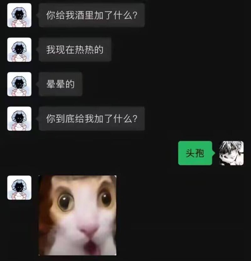震惊猫