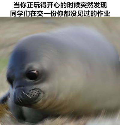 图片上方有一行文字：'当你正玩得开心的时候突然发现同学们在交一份你都没见过的作业'，下方是一只表情惊讶、眼神呆滞的海豹特写。图片通过海豹的表情生动形象地表现了学生突然发现有未完成作业时的震惊和困惑情绪。