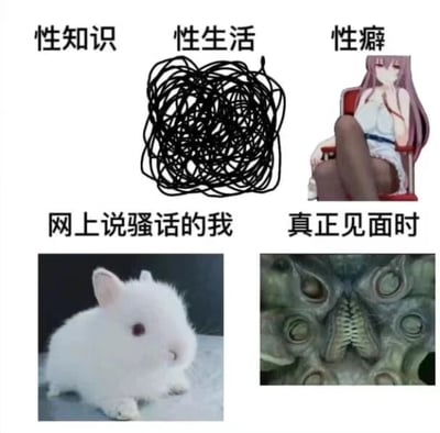 这是一张四格对比梗图，通过图文结合的方式展现了人们在不同情境下对性相关话题的态度反差。

第一行从左到右分别为：
- 标有“性知识”的区域为空白
- 标有“性生活”的区域是一团杂乱的黑色线条
- 标有“性癖”的区域是一位穿着性感的动漫女性角色

第二行从左到右分别为：
- 标有“网上说骚话的我”的区域是一只可爱的白色兔子
- 标有“真正见面时”的区域是一张恐怖的怪物面孔

图片通过夸张对比，幽默地表现了人们在网络上谈论性话题时的大胆与现实中见面时的紧张羞涩形成的反差。
