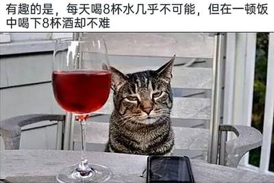 暂无描述