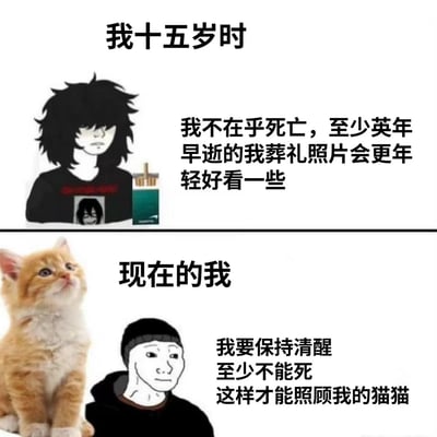 该图为上下两栏拼接的卡通风格梗图，通过对比展现不同人生阶段的心态变化。上栏标题为“我十五岁时”，左侧是黑发凌乱、表情冷峻的卡通人物，旁有香烟盒，配文“我不在乎死亡，至少英年早逝的我葬礼照片会更年轻好看一些”，体现青春期叛逆虚无的态度；下栏标题“现在的我”，左侧是简笔风格的戴帽人物与一只仰头的橘猫，配文“我要保持清醒至少不能死这样才能照顾我的猫猫”，展现因宠物责任产生的生命珍视，形成幽默反差。