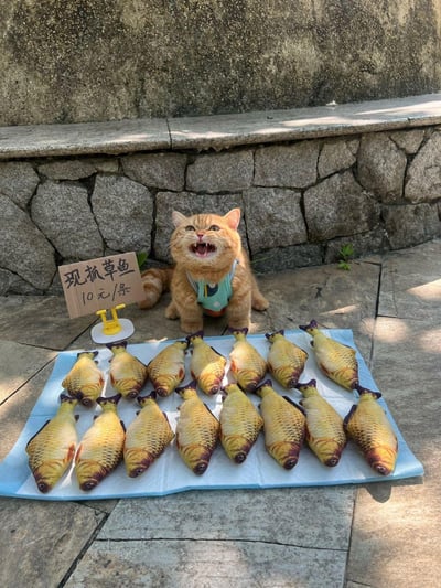 一只穿着浅蓝色小围兜的橘猫蹲在石墙前的地面上，面前铺着蓝色垫子，上面整齐摆放着15条仿真草鱼玩具。猫咪旁边立着一块手写纸板，写着“现抓草鱼 10元/条”，猫咪张着嘴巴，露出牙齿，像是在卖力吆喝卖鱼，画面充满趣味，十分可爱搞笑。