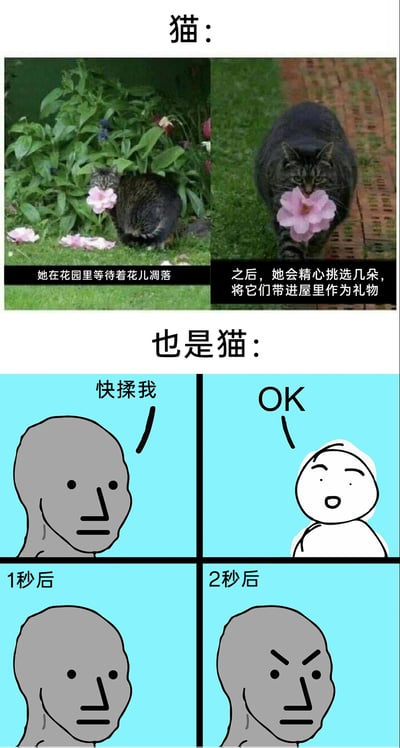 这是一张上下对比的连环图文，通过两种猫咪的不同行为制造反差笑点。上半部分展示了一只贴心的狸花猫，它会在花园等待花朵自然凋落，精心挑选后将花带进屋作为礼物，画面温馨治愈；下半部分采用网络流行的Meme卡通模板，用灰色小人代表猫咪，它先是要求主人“快揉我”，在主人开心答应“OK”后，仅过1到2秒就立刻变得愤怒，生动调侃了猫咪性格善变、难以捉摸的特点，和上半部分的贴心猫咪形成强烈反差，凸显了猫咪行为的多样性和趣味性。