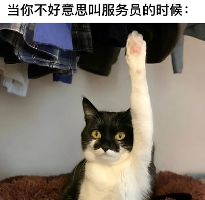图片展示了一只黑白相间的猫坐在棕色毛绒坐垫上，正直立地抬起一只前爪，爪子向上伸展似乎想要触碰上方悬挂的衣物。猫的眼神专注而略带谨慎，表情生动。图片顶部配有文字“当你不好意思叫服务员的时候：”，通过猫咪这种小心翼翼、欲言又止的动作，幽默地类比了人们在餐厅等场合不好意思主动叫服务员时的害羞心理，引发观者共鸣。