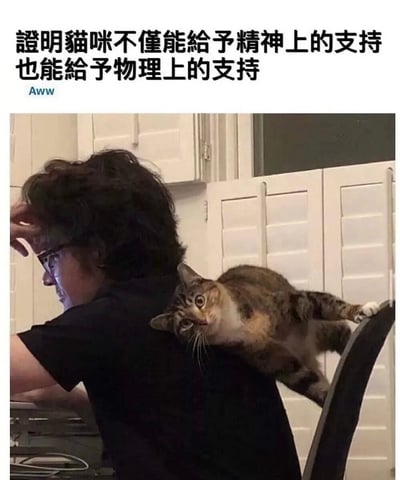 图中展示了一位看起来十分疲惫的人扶着头，一只三色猫趴在他的后背上，一只爪子搭在椅背上，仿佛在用身体为他提供“物理上的支持”。上方配文“證明貓咪不僅能給予精神上的支持也能給予物理上的支持”，用双关的方式调侃猫咪的陪伴，既暖心又搞笑，将猫咪的精神陪伴延伸到字面意义的物理支撑，让人会心一笑。