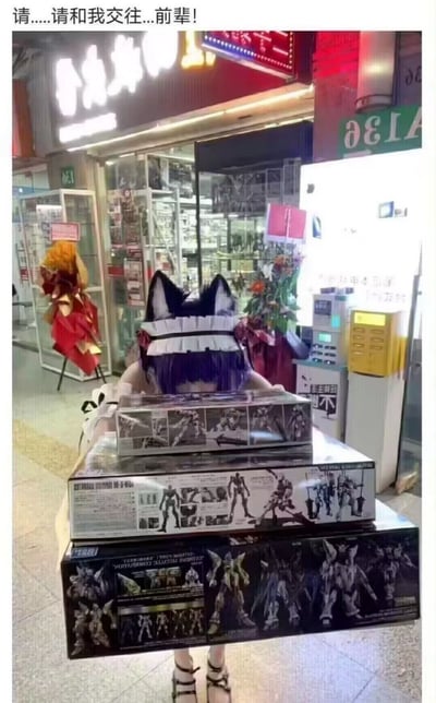 这张图片为顶部配文的真人实拍梗图，顶部文字为“请....请和我交往...前辈！”，画面主体是一位佩戴黑白兽耳头饰、白色女仆发箍，留着紫色短发的coser，站在临街的模型店铺门前，双手举着三盒大小不一的机甲拼装模型，包装盒印有模型拼装效果图，属于高达类拼装产品，用模型挡住半张脸做出向观看者告白递礼的姿态，背景可见模型店的玻璃展柜、发光店招、门牌号、开业花篮等街边商铺元素。
