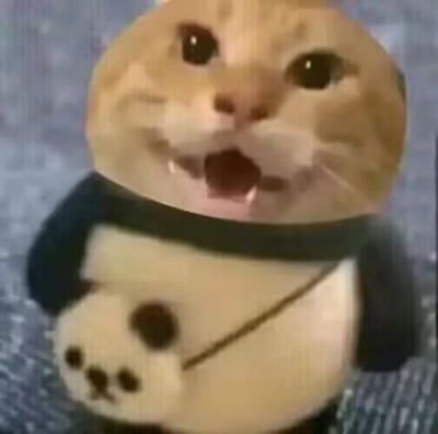 这是一张经过图像合成的搞怪表情包，创作者将真实橘猫的头部与卡通熊猫的身体拼接在一起，橘猫嘴巴大张，露出十分惊讶的表情，熊猫身体还背着一个熊猫造型的小挎包，整体形象滑稽有趣，主要用来表达惊讶、震惊的情绪，没有双关、谐音梗等内容。
