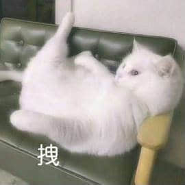 图片中一只白色猫咪仰卧在绿色皮沙发上，后腿自然抬起，前爪弯曲放在胸前，侧头看向一旁，表情平静中带着一丝慵懒。猫咪下方有一个醒目的中文文字“拽”，生动地诠释了它此刻自信又悠闲的姿态，仿佛在展示自己的“大佬”风范。整体画面温馨又有趣，突出了宠物的可爱与个性。