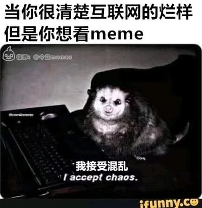 这是一张用来表达网络用户心态的meme静态图，顶部配有中文文字“当你很清楚互联网的烂样 但是你想看meme”，图中主体是一只表情无奈又带着认命感的负鼠类小动物，安静地坐在键盘前，底部配有“我接受混乱 I accept chaos.”的中英双语文字。整幅图精准地戳中了网友的共鸣：明明知晓互联网上充斥着繁杂混乱的内容，但为了获取有趣的meme内容，还是选择坦然接受这一切的矛盾又真实的心态。