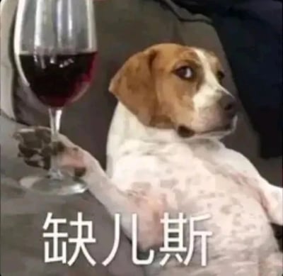 这是一张经过P图改编的搞笑表情包，画面中的比格犬被处理成半躺的拟人化姿态，一只爪子搭在装有红酒的高脚杯杯柄上，眼神慵懒又带着戏谑感。下方配有的文字‘缺儿斯’是英文‘cheers’的谐音，对应举杯干杯的场景，整体风格诙谐有趣，适合在社交场景中用来表达放松、想要喝酒或者提议干杯的情绪。