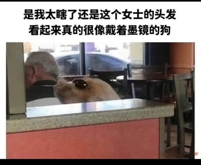 这张图片拍摄于一家餐厅内，画面中一位白发男士坐在柜台前，他后方的女士头发因为角度和旁边的墨镜形成了奇妙的视觉错位，看起来完全像是一只戴着墨镜、仰头的狗狗。图片上方配文“是我太瞎了还是这个女士的头发看起来真的很像戴着墨镜的狗”，精准点出这个巧合的视觉错觉效果，这种生活中偶然出现的趣味错位场景，很容易让人产生看错的错觉，带来搞笑的观感。