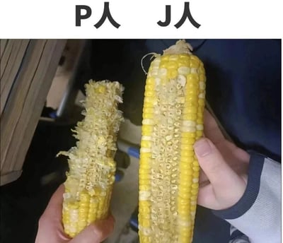 这张图文混排的对比图，通过展示两根被啃过的玉米来趣味化呈现MBTI人格中P型人格（感知型）和J型人格（判断型）的行为差异。图片顶部标注“P人 J人”，左侧的玉米被啃得毫无章法，玉米粒残留凌乱，对应P人随性自由、不喜欢被规则束缚的行事风格；右侧的玉米被啃成整齐的条状，玉米粒被规律地啃掉，对应J人严谨有序、偏好按秩序行事的特点，用生活化的场景生动调侃了不同人格的行为模式。