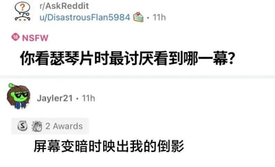 这是一张Reddit论坛r/AskReddit板块的截图，用户u/DisastrousFlan5984发布了一个带有NSFW标签的问题："你看瑟琴片时最讨厌看到哪一幕?"。11小时后，用户Jayler21回复："屏幕变暗时映出我的倒影"，这条回复获得了2个奖项。整个截图展示了一个关于成人内容观看体验的幽默互动。
