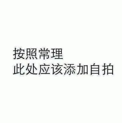 图片为纯白色背景，中央有两行黑色简体中文字：“按照常理 此处应该添加自拍”。通过文字直接点明通常情况下该位置会放置自拍图片，却用文字替代，形成一种幽默的反差感，常用于自嘲或调侃社交媒体中常见的自拍行为。