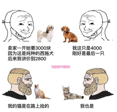 这是一张四格连环图文混排梗图，通过对比买狗的昂贵交易和捡猫的零成本形成幽默效果。左上格是经典Wojak角色配文“卖家一开始要3000块 因为这是纯种的西施犬 后来我讲价到2800”，旁边是一只白色西施犬；右上格另一Wojak配文“我这只是4000 刚好是最后一只”，旁边是一只棕色腊肠犬；左下格胡子Wojak旁有橘白相间的猫，配文“我的猫是在路上捡的”；右下格另一个胡子Wojak旁有虎斑猫，配文“我也是”。整体通过宠物获取方式的价格反差制造笑点。
