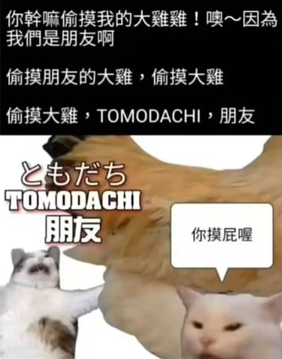 这张图片分为上下两部分。上半部分是黑色背景上的白色文字："你干嘛偷摸我的大雞雞！噢～因為我們是朋友啊 偷摸朋友的大雞，偷摸大雞 偷摸大雞，TOMODACHI，朋友"。下半部分是两只猫的图片，左边是一只惊讶的白猫用爪子指着右边的橘猫，橘猫旁边有日文"ともだち"和英文"TOMODACHI"以及中文"朋友"的文字，白猫的对话框里写着"你摸屁喔"。图片通过谐音和语义双关制造笑点，将"大雞雞"（男性生殖器）与"摸屁股"联系起来，同时使用日语"TOMODACHI"（朋友）增加趣味性。