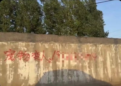 这是一张户外实拍照片，画面主体是一面表面斑驳脱落、显得十分老旧的水泥围墙，墙面上用红色喷漆手写了“宠物变人”字样，其后跟着的1开头的疑似手机号码的内容被做了马赛克模糊处理，仅末尾的数字“4”可见；围墙后方生长着大片茂密的高大常绿乔木，上方是晴朗的蓝色天空，画面底部可以看到拍摄者所处车辆的车顶阴影，推测是乘车路过时拍摄的城郊或乡村户外场景，墙面上的文字内容十分荒诞猎奇，具备梗图传播属性。