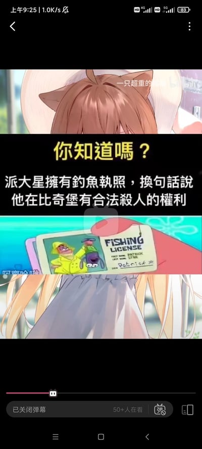 图片为视频播放界面截图，上方显示一位棕色头发、带有猫耳的动漫女孩背影，中间叠加黄色标题文字“你知道吗？”及正文“派大星拥有钓鱼执照，换句话说他在比奇堡有合法杀人的权利”，下方嵌入《海绵宝宝》动画截图，画面中派大星手持标有“FISHING LICENSE”的执照卡片。整体通过谐音梗和夸张联想制造幽默效果，将“钓鱼执照”曲解为“合法杀人权”。