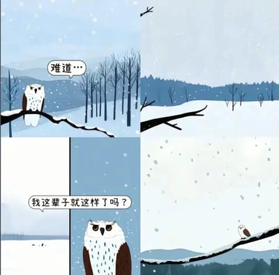 这是一幅由多格画面组成的连环卡通漫画，整体以飘雪的冬日雪地为背景展开叙事。第一格画面中，一只猫头鹰站在积雪覆盖的树枝上，配文“难道…”，背景是萧瑟的落雪树林；第二格是空旷的雪地场景，配文“我这辈子就这样了吗？”，传递出对现状的深深质疑；第三格是猫头鹰的特写，它睁大眼睛，眼神里满是迷茫与焦虑；第四格画面里，猫头鹰独自站在一根长长的细树枝上，在广阔飘雪的天地间显得格外渺小，完整地展现出角色对人生现状的困惑、对未来的无力感，能够引发观者对自身处境的共鸣。