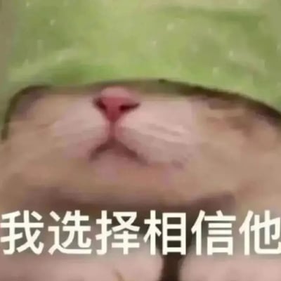 图片为一只猫咪的面部特写，聚焦于鼻子和嘴巴区域，背景为柔和的绿色。猫咪嘴巴微抿，表情平静，下方配有白色文字“我选择相信他”。整体画面可爱温馨，通过猫咪的无辜表情传达出信任的情感。