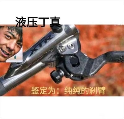 这是一张基于“一眼丁真”梗的魔改表情包。图片主视觉是一只液压刹车装置与旁边角落丁真的照片拼接，顶部写有“液压丁真”，下方配字“鉴定为：纯纯的刹蹶”。该图字面上采用音似梗，将“刹蹶”（谐音“傻缺”）与刹车把拼贴，并用“一眼丁真”格式经典句式幽默表达。“丁真”本为网络红人，本图在自嘲、玩梗的基础上，结合自创新词和工科机械元素，以荒诞、搞笑为主，属于典型的吐槽、反话式表情包，网友多用于群聊、论坛对人或事件的讽刺。

**谐音&双关：**
- “液压丁真”利用“液压刹车把”音似人名的梗点。
- “刹蹶”为“傻缺”的谐音，表达强烈的幽默揶揄。
- 一眼丁真系列套用“鉴定为…”的句型，进一步强化梗内涵。