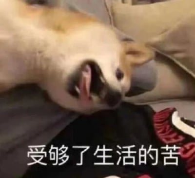 一只狗子瘫躺在米色沙发上，身体舒展，舌头不自觉地耷拉出来，眼神中透露出几分疲惫与无奈。图片底部配有文字“受够了生活的苦”，将狗子的慵懒姿态拟人化，仿佛在表达对生活压力的无力感，整体营造出一种幽默又带点共鸣的氛围，让人会心一笑。