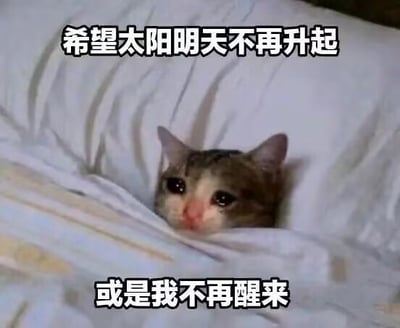 这张图展示了一只眼睛泛红、神情低落的猫咪躲在被子里，仅露出脑袋，配上文字“希望太阳明天不再升起 或是我不再醒来”，用拟人化的手法，将猫咪的委屈神态和不想面对第二天的丧系情绪结合，精准表达了人们在面对生活压力、不想上班或不想面对烦心事时的疲惫与逃避心态，没有双关、谐音梗等内容。