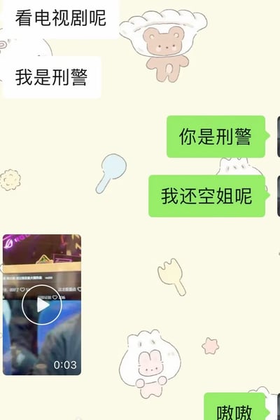 这是一张竖屏手机格式的聊天记录截图，背景是带有饺子造型小熊、包子造型小兔等可爱卡通贴纸的浅色界面。对话内容是好友间的轻松互动：一方先告知正在看电视剧，并说道“我是刑警”，这里的“我是刑警”是所看电视剧的名称，另一方误以为是对方自称刑警，便调侃回应“你是刑警，我还空姐呢”，随后前者发送了一段3秒的短视频，后者回复“嗷嗷”，整体氛围轻松诙谐，是朋友间日常的玩笑式交流。