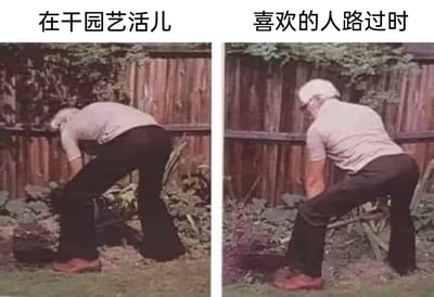 这是一张左右分栏的对比连环图，左侧图上方配有文字“在干园艺活儿”，画面中一位穿着浅色短袖、黑色喇叭裤、红棕色皮鞋的老人正弯腰俯身，专注地打理着庭院里的植物，姿势自然且朴实，完全是认真干活的状态；右侧图上方配有文字“喜欢的人路过时”，同一个老人立刻改变了肢体姿态，不再完全弯腰，而是刻意地将身体调整成一个看起来更“有型”的姿势，双腿分开，身体半侧，和左侧认真劳作的样子形成了极其鲜明的反差。这张图用夸张且贴近生活的肢体变化，幽默地演绎了人们在自己在意的人面前，会下意识地想要展现出更好形象的普遍社交心理，哪怕是在干农活的过程中也不例外，充满了生活化的趣味和共鸣感。