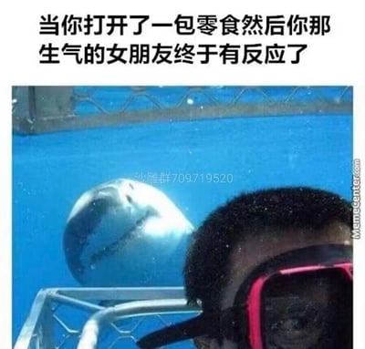 图片上方配有文字“当你打开了一包零食然后你那生气的女朋友终于有反应了”，下方是一张水下场景照片：一名戴着红色护目镜的人正专注于前方，而一条巨大的鲨鱼从其身后悄然逼近，鲨鱼的大嘴张开，牙齿清晰可见，营造出紧张且极具冲击力的视觉效果。通过将生气女朋友的突然反应比喻为鲨鱼的迅猛逼近，用夸张的手法幽默展现了伴侣在特定诱因下（如零食）情绪转变的戏剧性，充满搞笑和调侃意味。