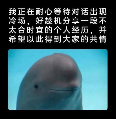 这是一张图文结合的搞笑梗图，上方黑色背景配白色文字，内容为“我正在耐心等待对话出现冷场，好趁机分享一段不太合时宜的个人经历，并希望以此得到大家的共情”，下方是一张江豚的特写照片，江豚面带微笑，表情看起来略带狡黠，仿佛正盘算着这件事。该图用拟人化的方式，精准调侃了现实生活中部分人在社交场合里，不懂观察氛围，总想在对话冷场时强行分享自己的私事，以此来获取他人关注和共情的尴尬社交行为，用动物的可爱表情放大这种微妙的心理，十分贴合当代年轻人的社交吐槽点，容易引发共鸣。