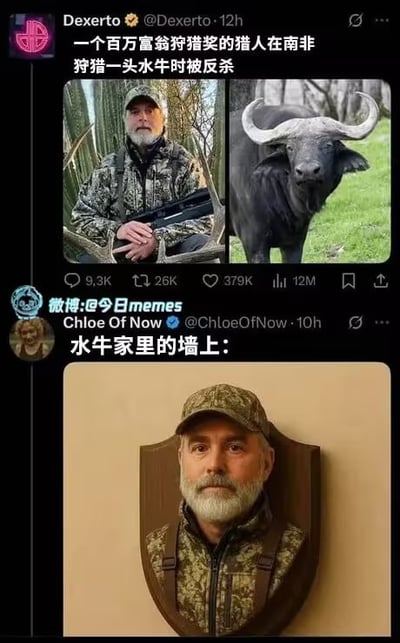 该梗图由两张社交媒体截图拼接而成。上方为Dexerto的推文，内容是“一个百万富翁狩猎奖的猎人在南非狩猎一头水牛时被反杀”，并配有猎人持枪照片和水牛照片；下方为微博账号“今日Memes”(Chloe Of Now)的推文，配文“水牛家里的墙上：”，并附一张猎人头部被制成标本挂在墙上的图片，通过反转“猎人将动物制成标本”的传统场景制造幽默讽刺效果。