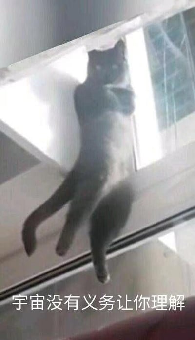 图片中一只猫正倒挂在玻璃表面，四肢紧抓玻璃，身体悬空，尾巴自然下垂，背景有光线透过玻璃照亮部分区域。图片底部中央位置有一行白色文字：“宇宙没有义务让你理解”。猫咪的奇特姿势与富有哲理的文字形成反差萌，既展现了猫咪的调皮灵动，又带有一丝对生活的调侃意味。