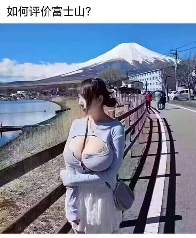 图片展示了一位女性站在湖边栏杆旁，背景是著名的富士山。图片上方配有文字“如何评价富士山？”，通过女性夸张的身材与富士山的形状形成视觉上的双关对比，达到搞笑效果。