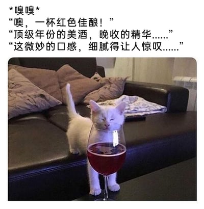 这是一张趣味萌宠梗图，画面主体是一只奶白色的小奶猫，它站在黑色皮质沙发的边缘，双眼紧闭，将脸凑近装有红酒的高脚杯，神态看起来十分陶醉。图片上方搭配了拟人化的专业品酒台词，模拟资深品酒师的口吻，先是做出嗅闻的动作，随后接连赞叹这是顶级年份的红色佳酿，夸赞其细腻精妙的口感，将小猫的可爱神态与专业品酒的严肃话术结合，形成强烈的反差萌，营造出诙谐搞笑的效果，让人忍俊不禁。