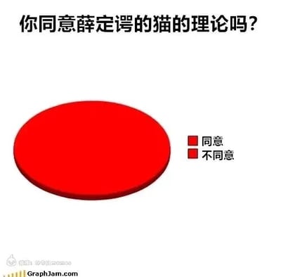 这是一张趣味科普梗图，以调查提问的形式呈现，顶部文字为“你同意薛定谔的猫的理论吗？”，搭配一个完整的红色3D饼图，右侧图例中“同意”和“不同意”均使用相同的红色方块标识。该设计巧妙呼应了薛定谔的猫的核心理论——量子叠加态：在未进行观测时，系统会处于多种状态的叠加，就如同这张图的调查结果同时处于“同意”和“不同意”的叠加状态，用可视化的幽默方式调侃了量子物理中这一经典的思想实验。薛定谔的猫是量子力学中的经典思想实验，用来阐述微观量子行为在宏观世界中的悖论，即观测前，猫处于既生又死的叠加态，该实验是帮助理解量子力学哥本哈根诠释的重要范例，其核心的量子叠加概念是量子力学的重要组成部分。