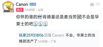这是一张社交媒体评论区的截图，展示了一段关于华莱士的搞笑玩梗互动。来自山东的用户Canon（Lv.23，头像为带光环的皮卡丘）发布热评：“你怀的谁的😎肯德基还是麦当劳🤮不会是华莱士的吧😅😅😅”，用夸张的玩笑调侃华莱士食品容易引发肠胃不适的刻板印象，该评论获得73个点赞。随后来自广东的用户“玩家25931806”回复道：“不会，华莱士的当晚就流产了”，进一步用更夸张的段子强化这个调侃点，整个评论互动充满戏谑搞笑的氛围，是网络上常见的玩梗内容。