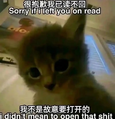 这是一张趣味表情包，图中是一只眼睛大睁、神情委屈无辜的小猫，搭配着中英双语文字：“很抱歉我已读不回 Sorry if i left you on read”“我不是故意要打开的 i didn't mean to open that shit”，精准表达了人们在日常社交中不小心点开消息却忘记回复，事后感到愧疚又尴尬的微妙心情，用小猫可怜的模样来软化这种尴尬，让表达歉意的方式变得生动又搞笑，非常适合在聊天中用来化解已读不回的尴尬场面。